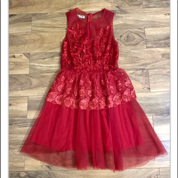 NWOT Red Lace Dress for Christmas,New Yr,Valentine - Picture 1 of 8